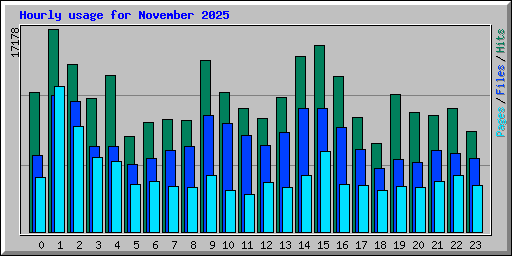 Hourly usage for November 2025