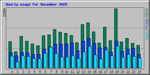 Hourly usage for December 2025