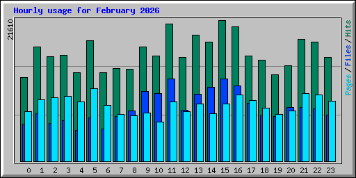 Hourly usage for February 2026