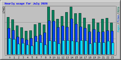 Hourly usage for July 2026