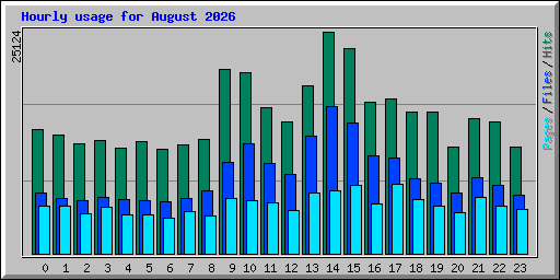 Hourly usage for August 2026